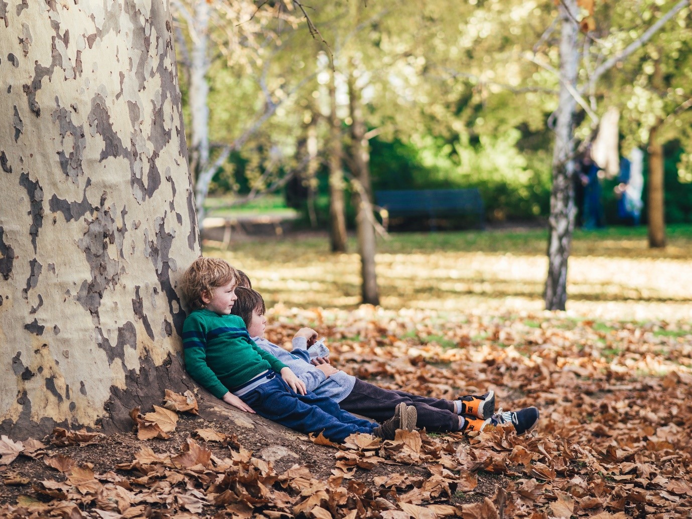 Children sitting at the base of a tree. Photo by Markus Spiske on Unsplash.